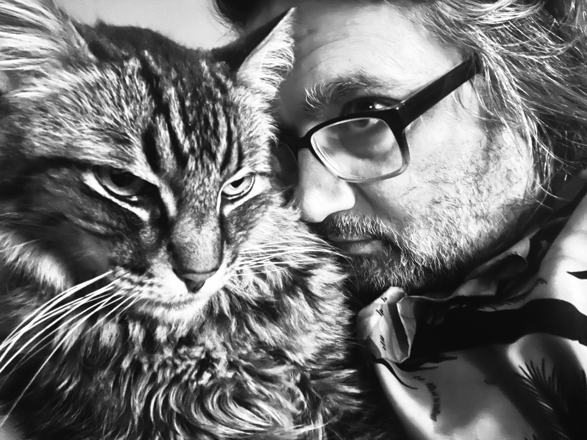 King Tiger cheek to cheek, black and white