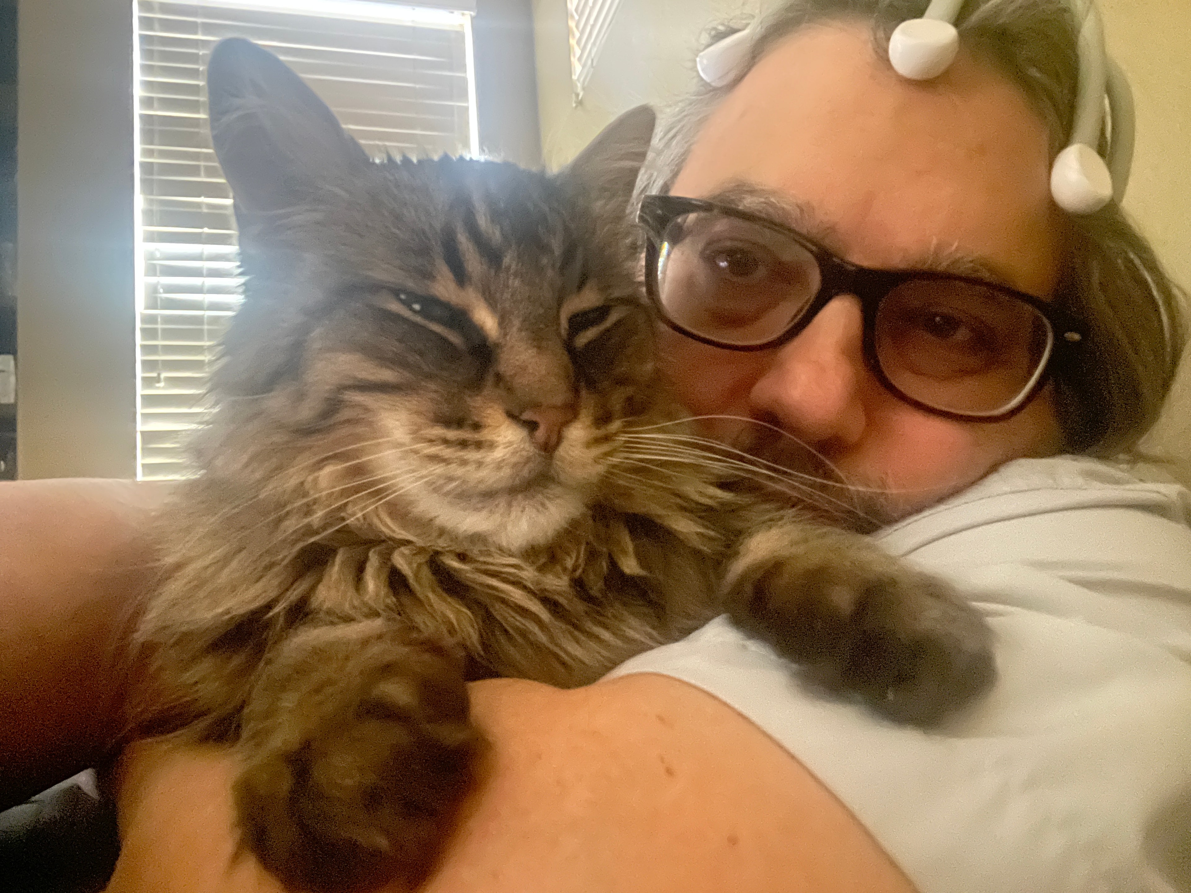 King Tiger with his person, color